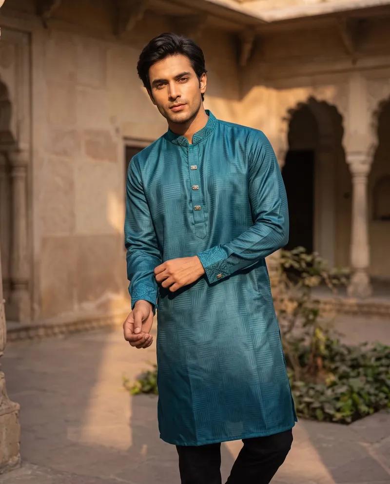 Fancy Embroidery Punjabi